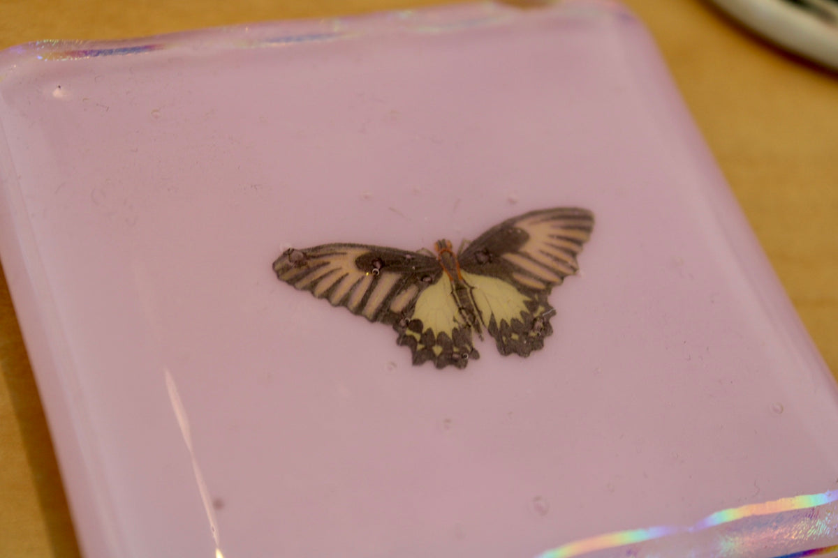 Pink Glass Mini Coaster - Swallowtail Butterfly