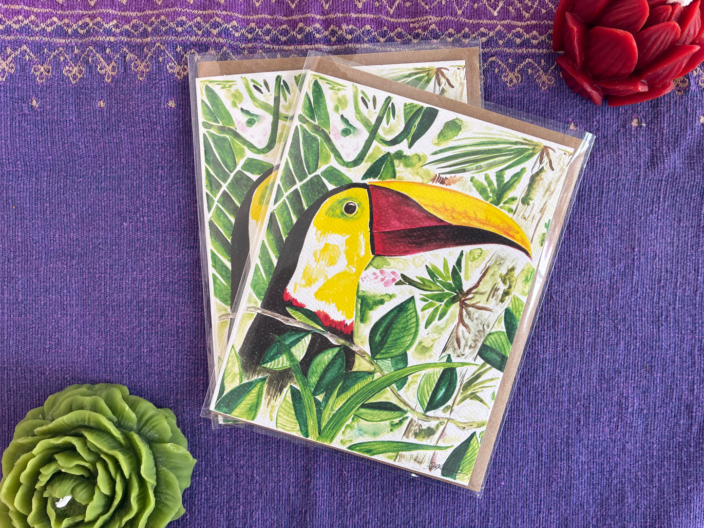 Toucan Greeting Card