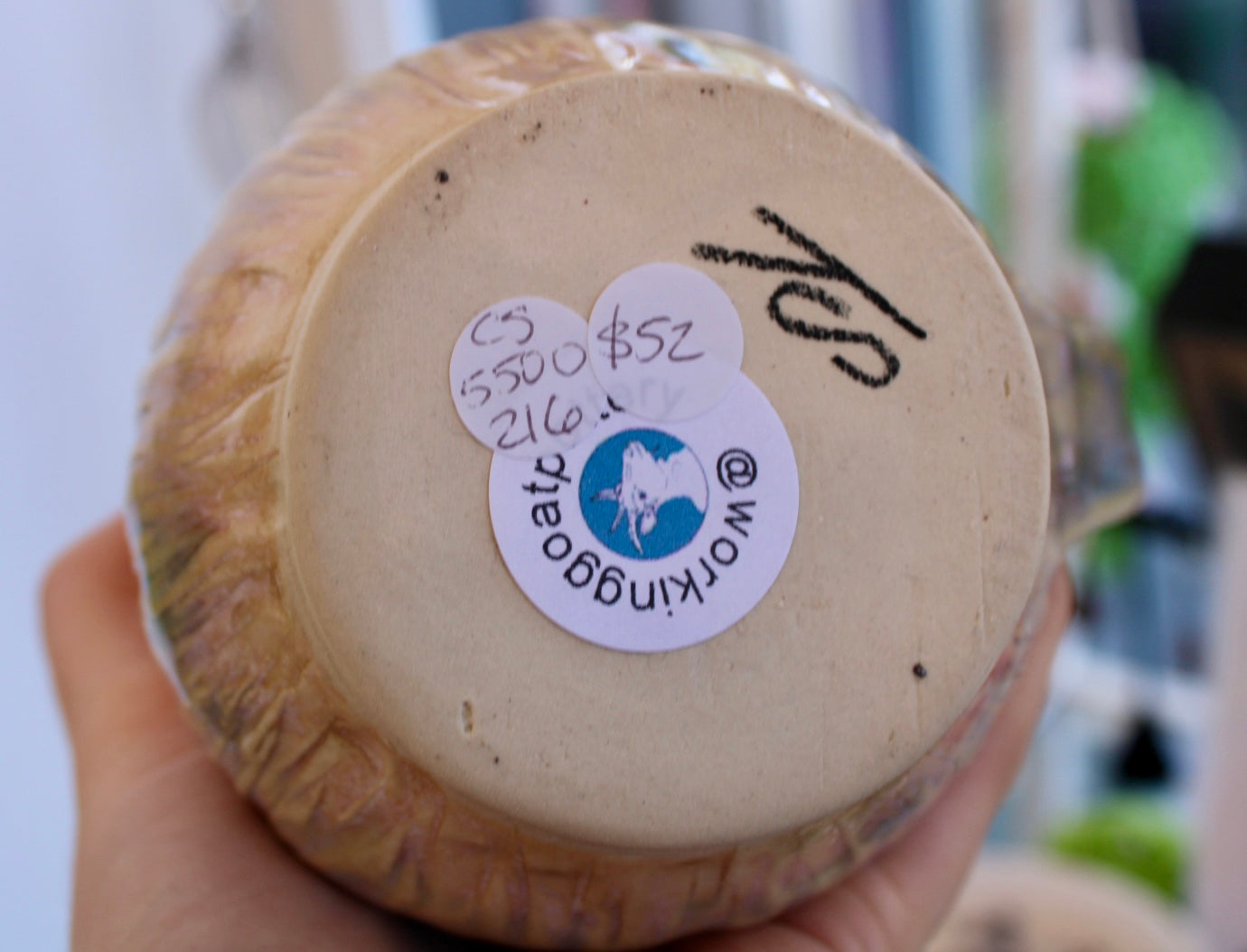 Large Stinson Sunset Mug