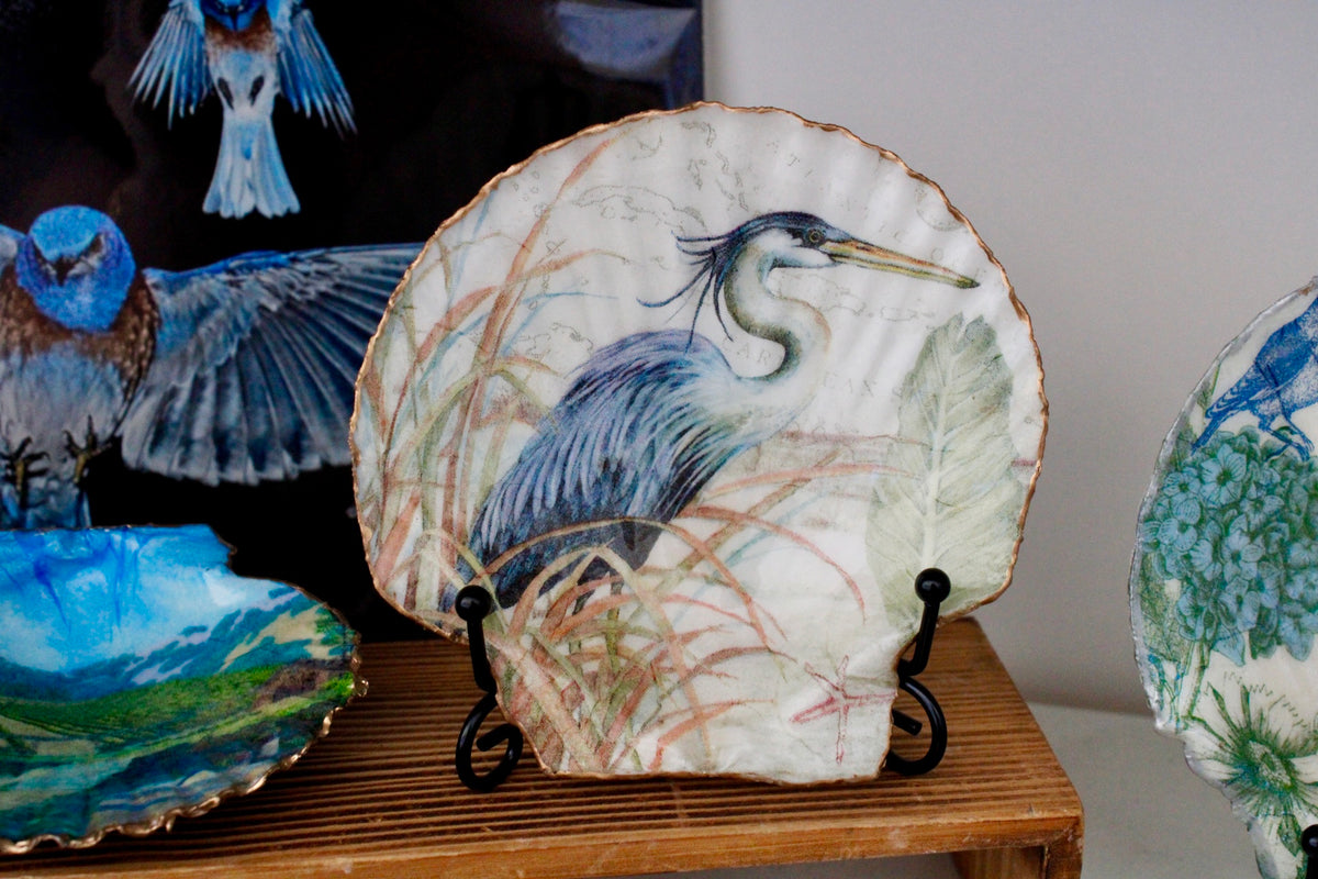 Blue Heron Scallop Shell