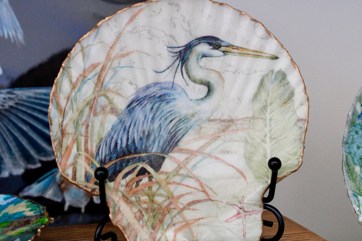 Blue Heron Scallop Shell