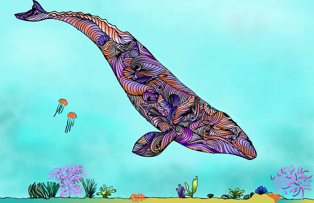 Gray Whale in California