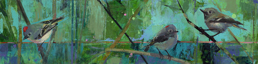 Kinglets